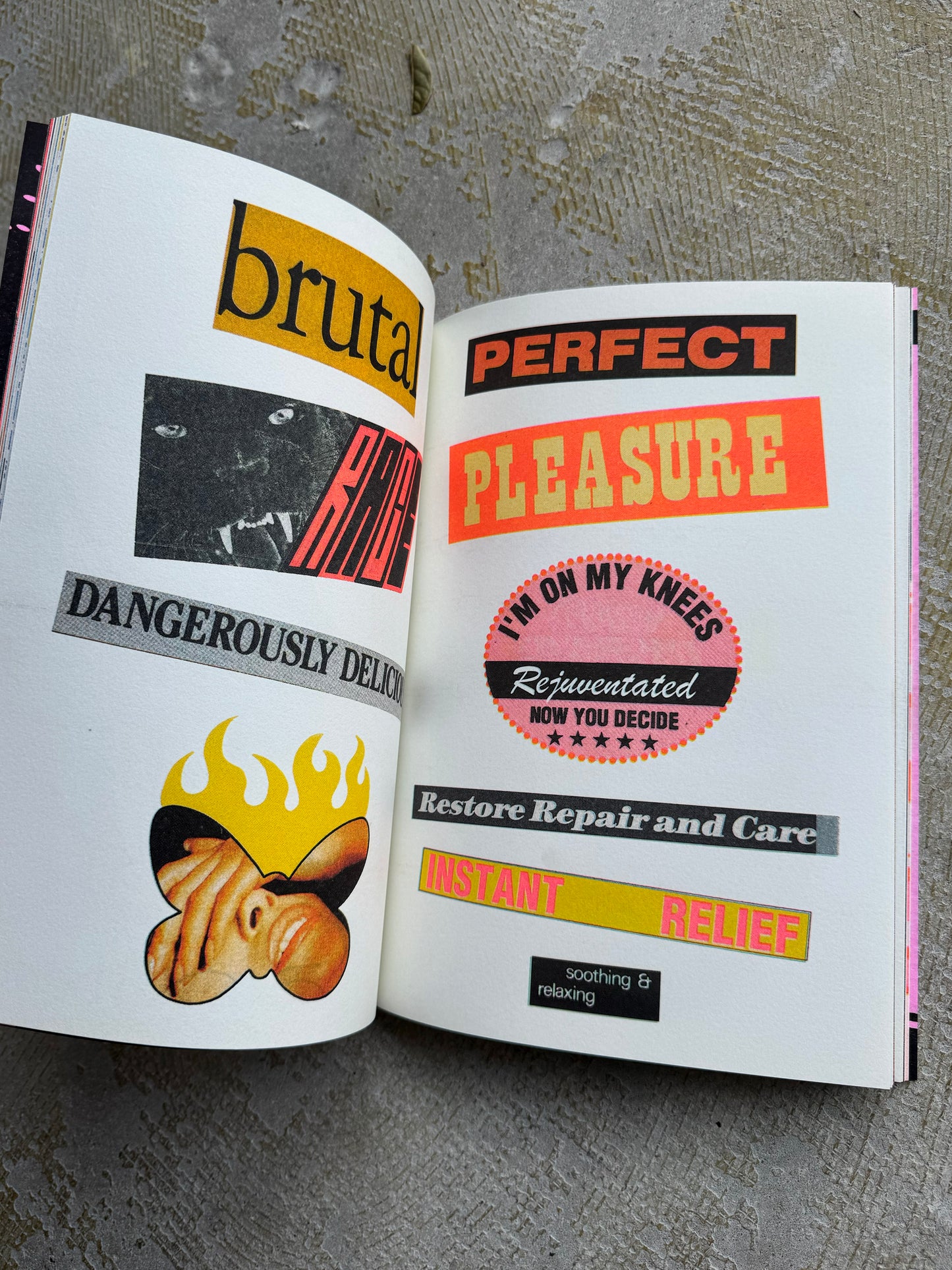 VISUAL STIMULATION book