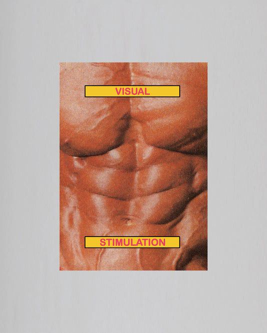 VISUAL STIMULATION book